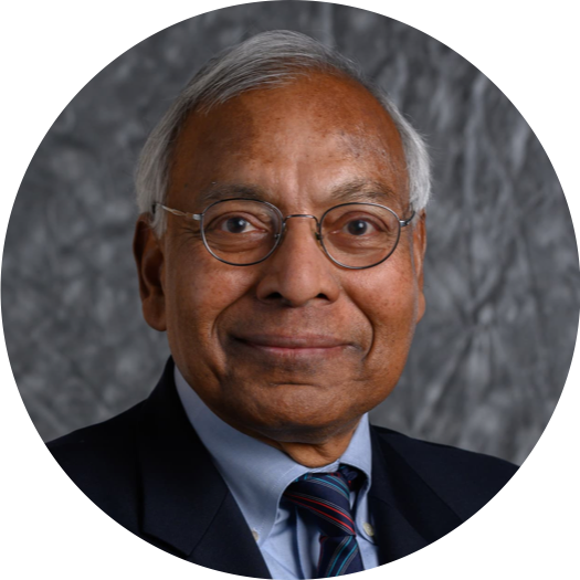 Professor Anil K. Jain