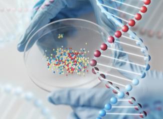 Cancer biomarker discovery